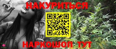 трава Будённовск