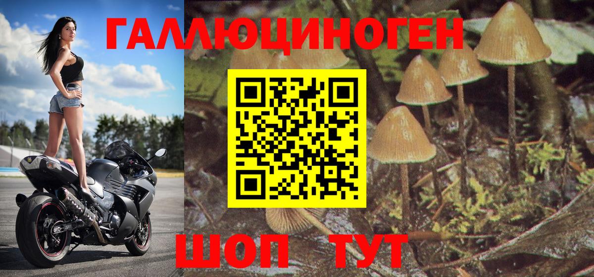 Северск  Псилоцибиновые грибы мухоморы  Вход с VPN 